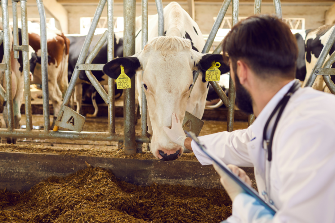 The presentation of the first Russian vaccine against COVID-19 for animals will take place in the SEZ Technopolis Moscow