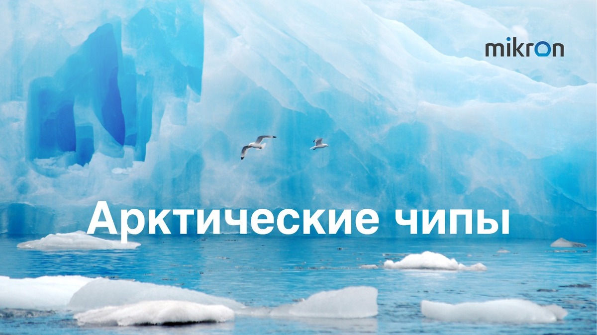 Resident of the capital's special economic zone upgrades the line of industrial microcircuits for use in the Arctic